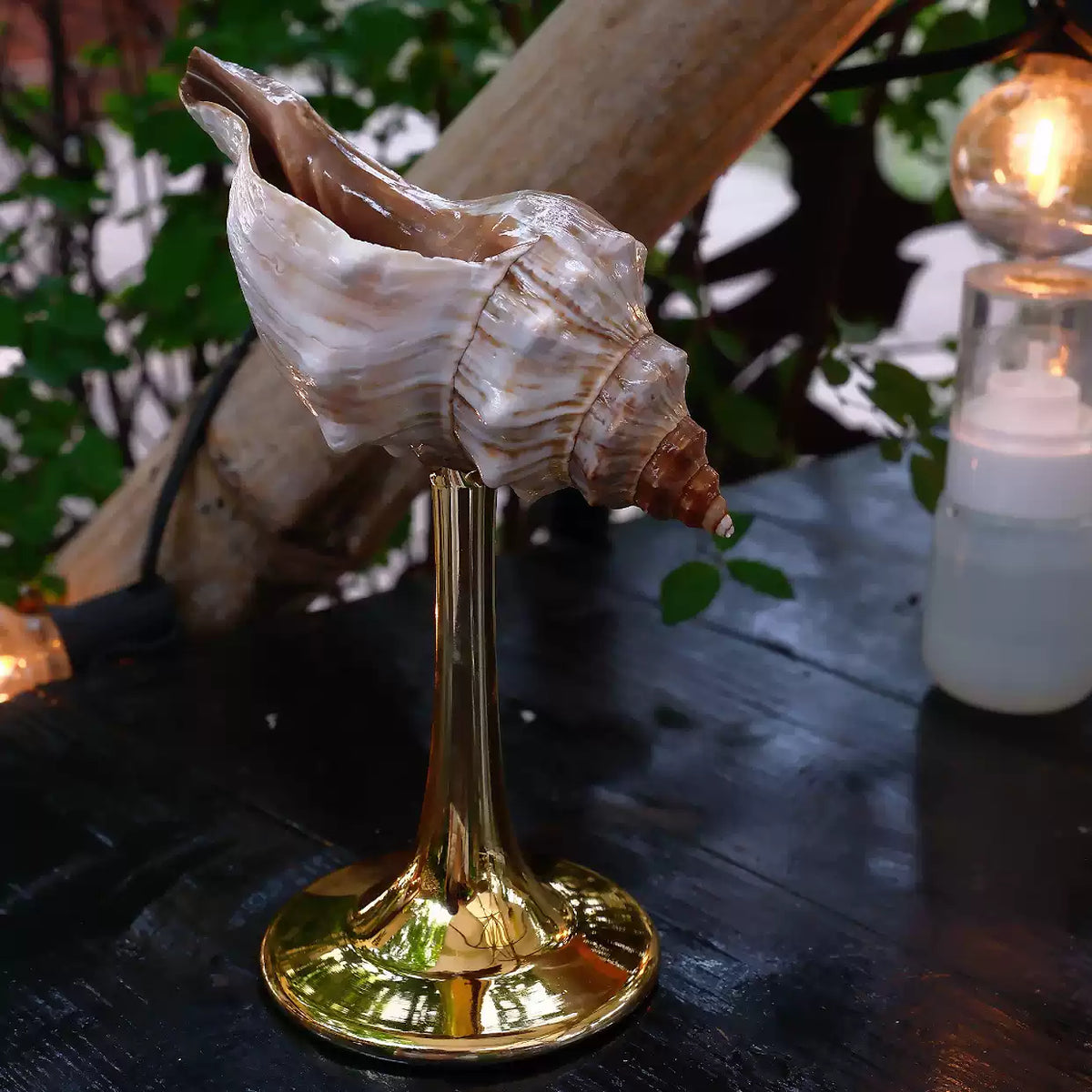 Natural Conch Wine Glass